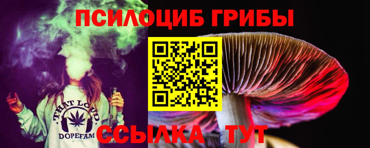 Галлюциногенные грибы мицелий Ачхой-Мартан