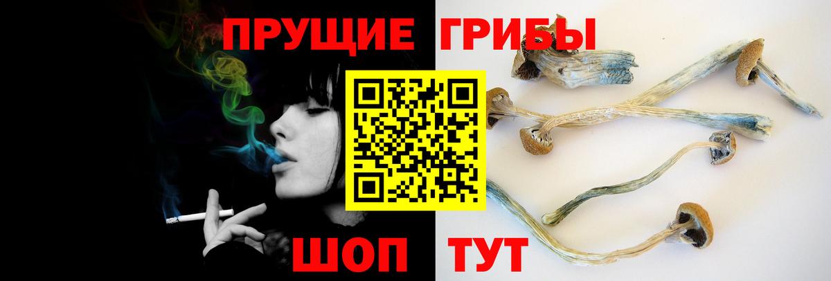 Галлюциногенные грибы мухоморы  Вход с VPN  Ачхой-Мартан 